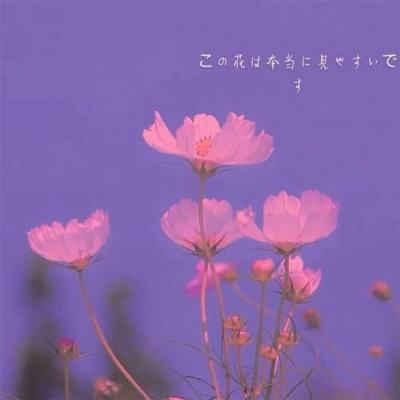 博喜体育官网下载